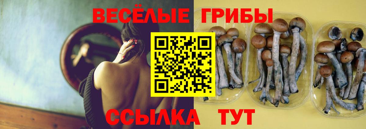 Псилоцибиновые грибы Psilocybe  Галлюциногенные грибы прущие грибы  Вход с VPN  Волгоград 