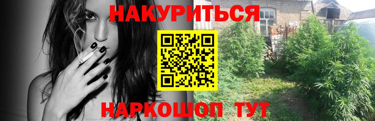 МАРИХУАНА OG Kush  Вход с VPN  Волгоград  Бошки марихуана ГИДРОПОН  Канабис THC 21% 